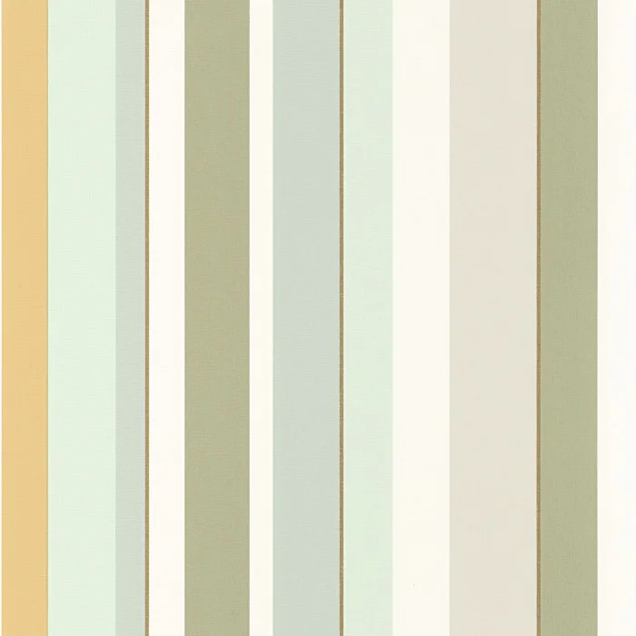 Vert cactus Vert cactus